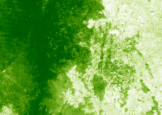 Canopy Cover Map