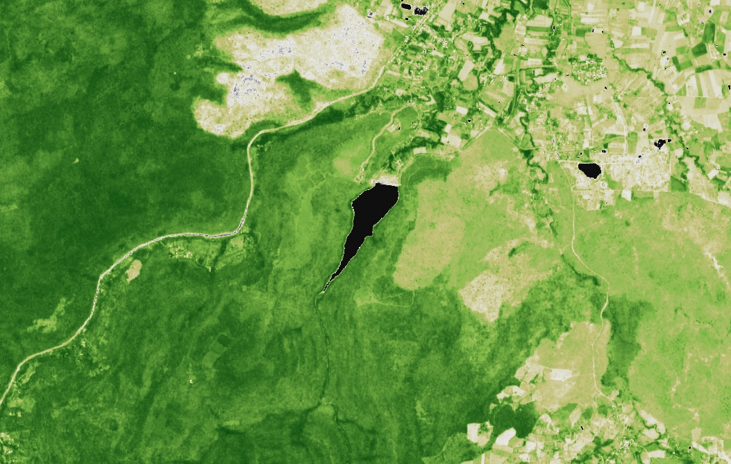 NDVI Map